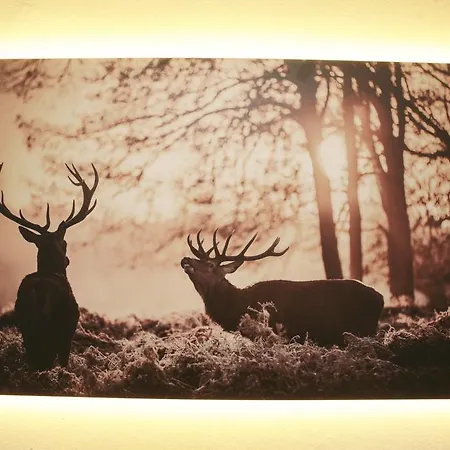 Pensionat And Cityhotel Edelweiss - Self Check In 3*