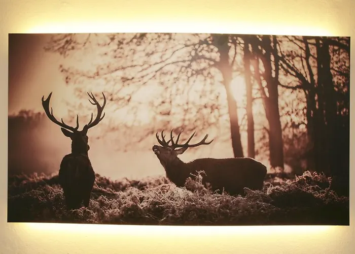 Pensionat And Cityhotel Edelweiss - Self Check In 3*